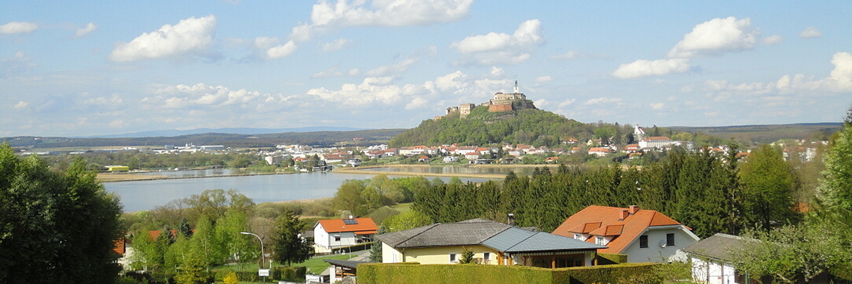 Burg G�ssing